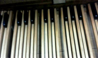 organ2.jpg